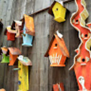 Meet your Posher, Ankur